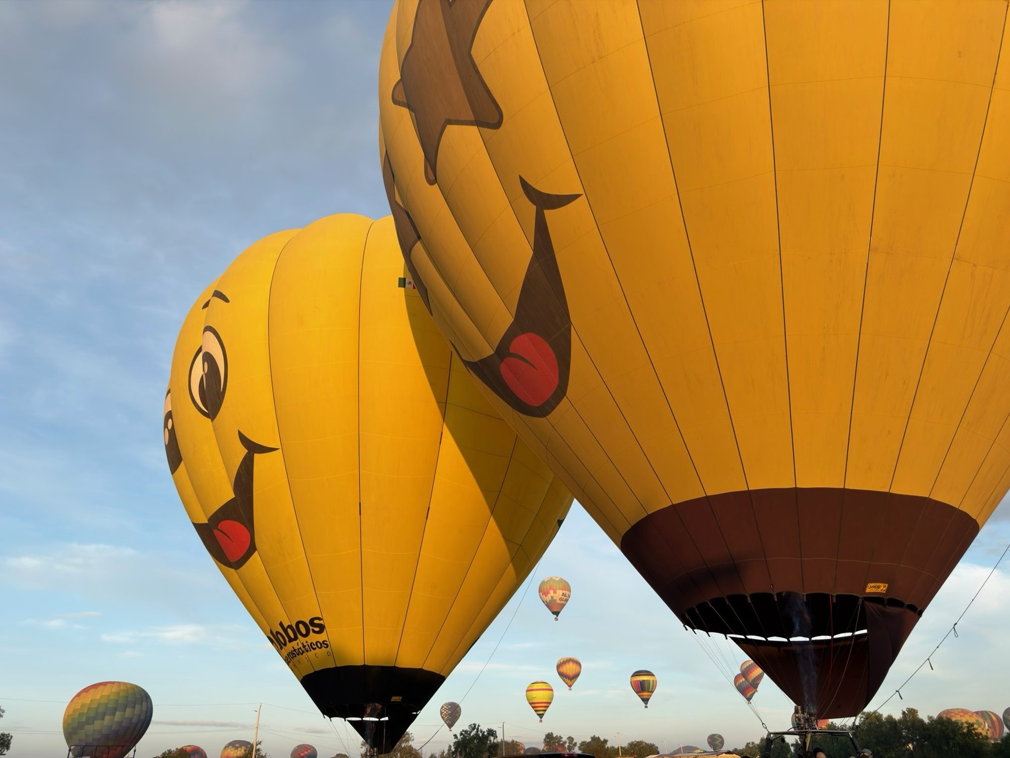 Globos carita feliz de Happy Puerto al amanecer